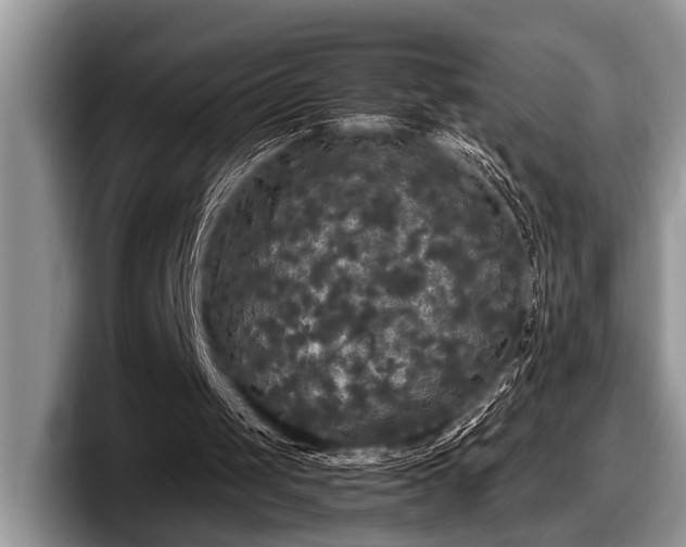 X0000097890049200803211403