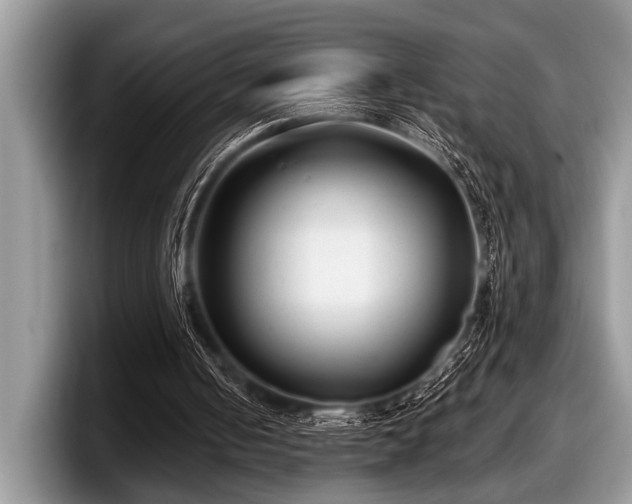 X0000097890050200803211403