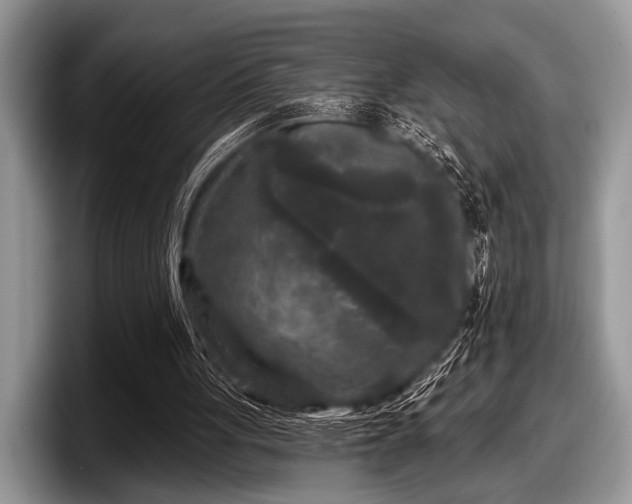 X0000097890051200803211403