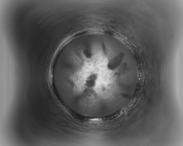 X0000097890053200803211403