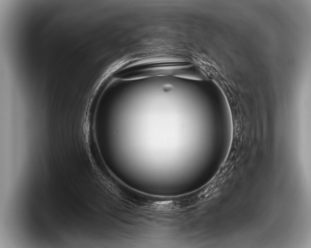 X0000097890054200803211403