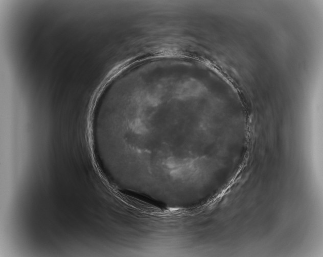 X0000097890055200803211404