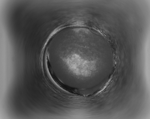 X0000097890056200803211404