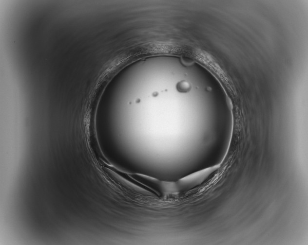 X0000097890058200803211404