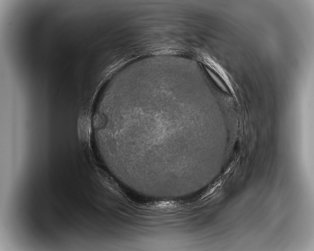 X0000097890059200803211404