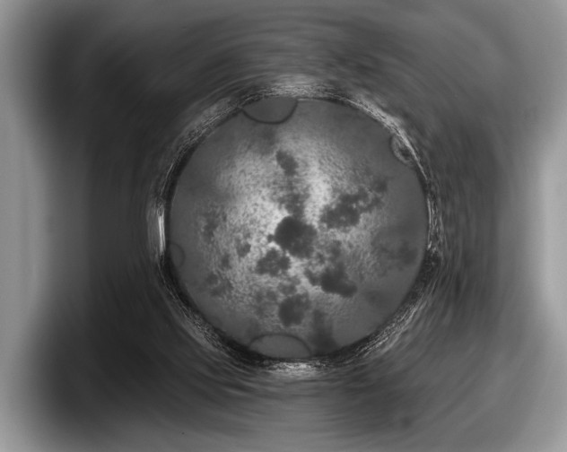 X0000097890061200803211404