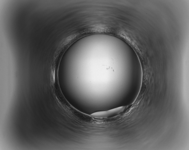 X0000097890062200803211404