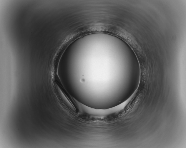 X0000097890064200803211404