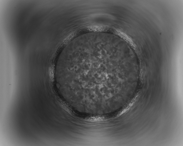 X0000097890065200803211404