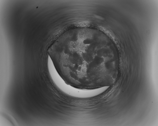 X0000097890069200803211404