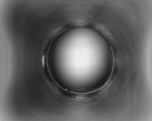 X0000097890070200803211404