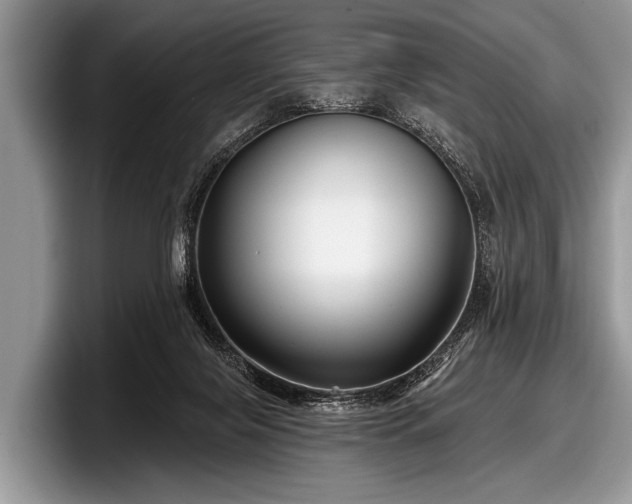 X0000097890071200803211404