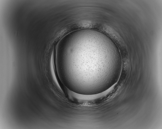 X0000097890072200803211404