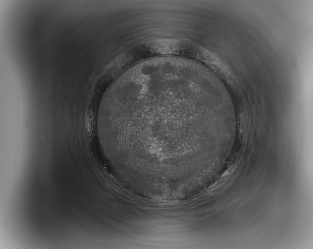 X0000097890073200803211404