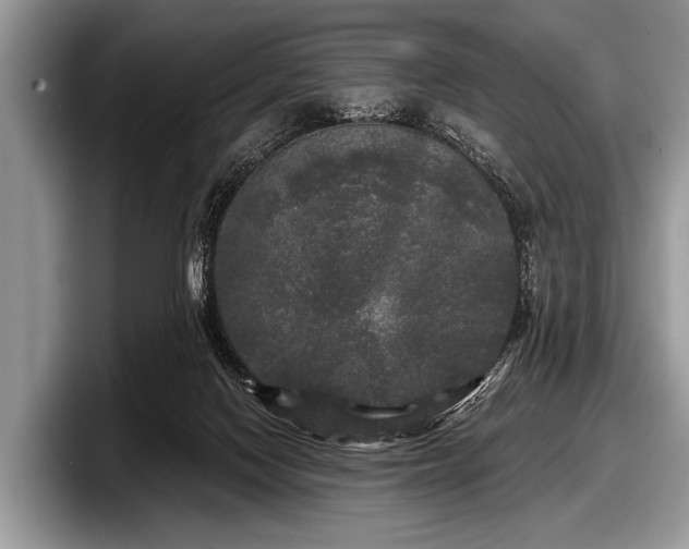 X0000097890074200803211404