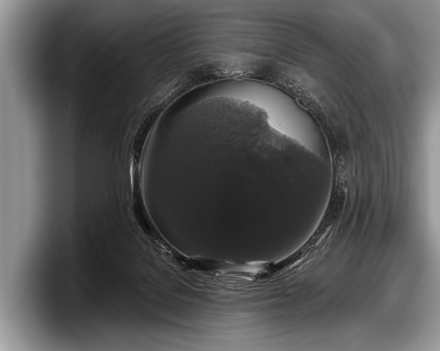 X0000097890076200803211404