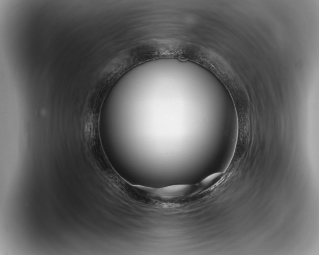 X0000097890078200803211404