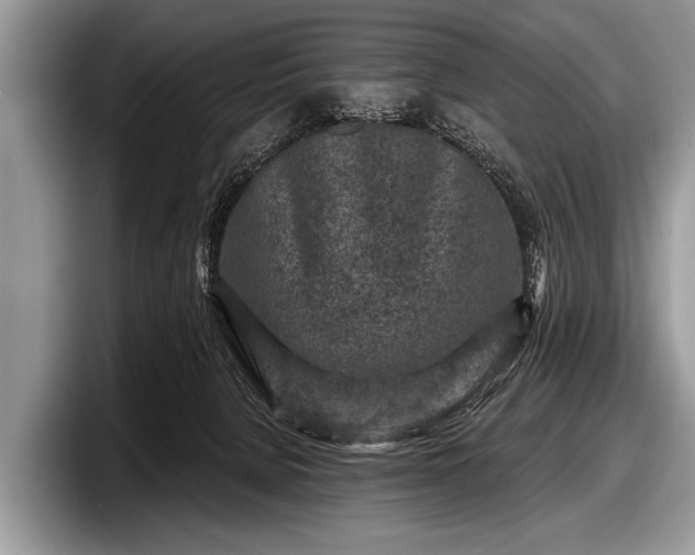 X0000097890080200803211404