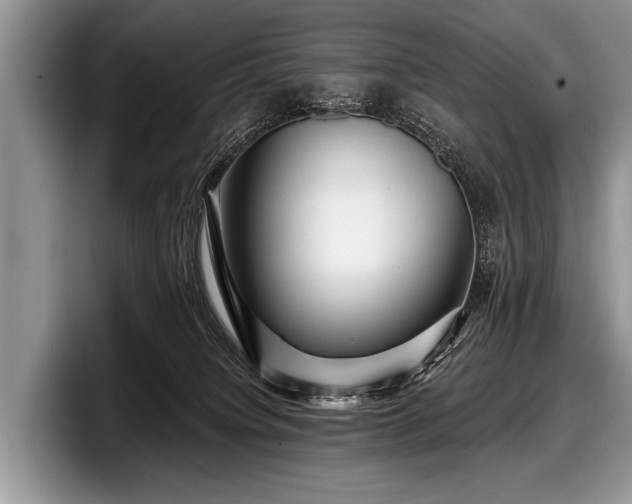 X0000097890084200803211404