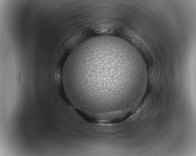 X0000097890085200803211404