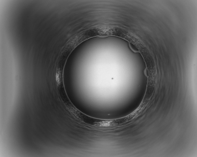 X0000097890090200803211404