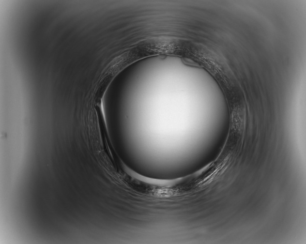 X0000097890092200803211404