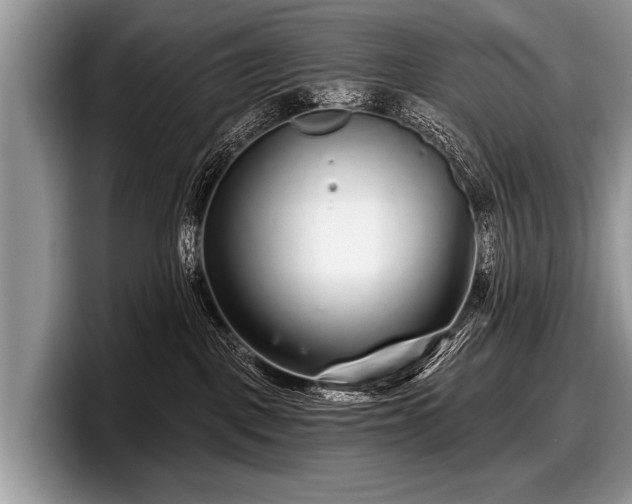 X0000097890093200803211404