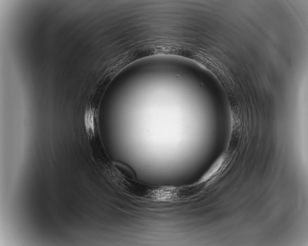 X0000097890094200803211404