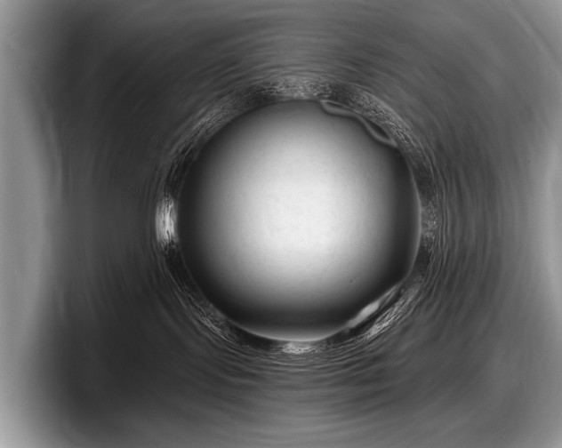 X0000097890095200803211404