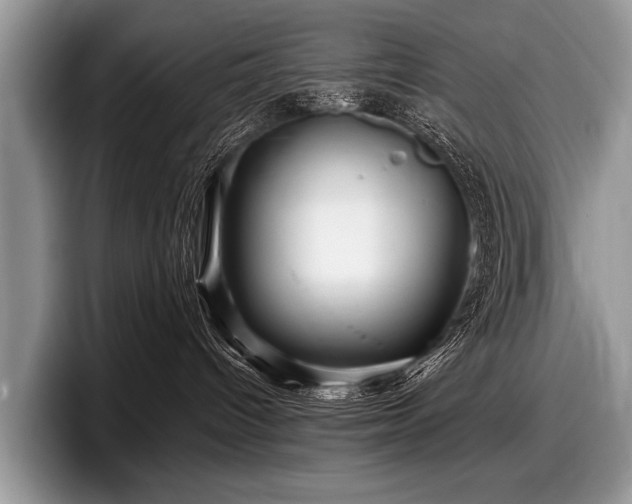 X0000097890096200803211404