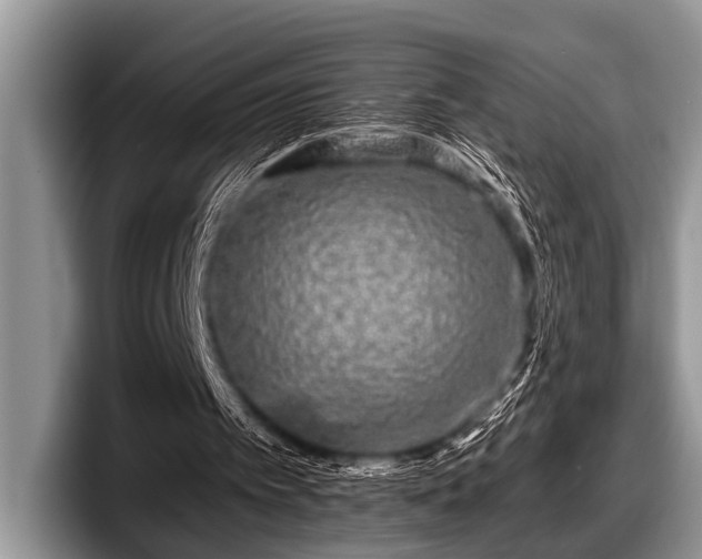 X0000097890097200803211403