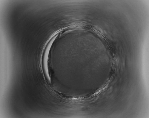 X0000097890100200803211403