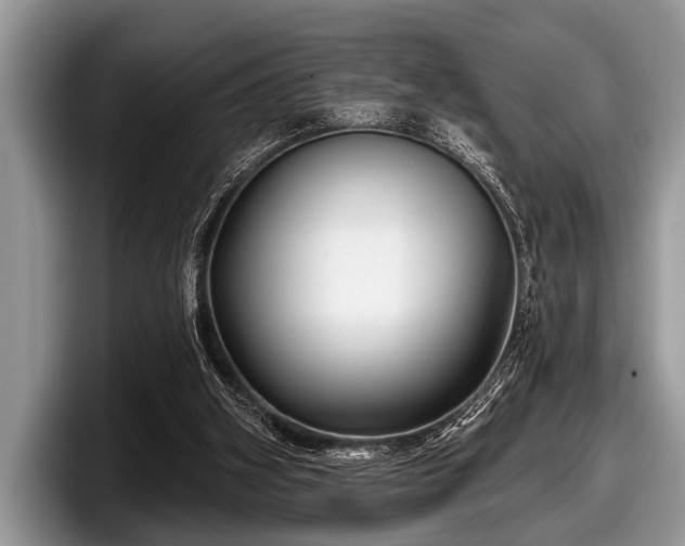 X0000097890106200803211403