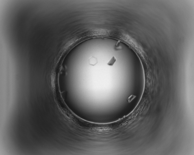 X0000097890107200803211403