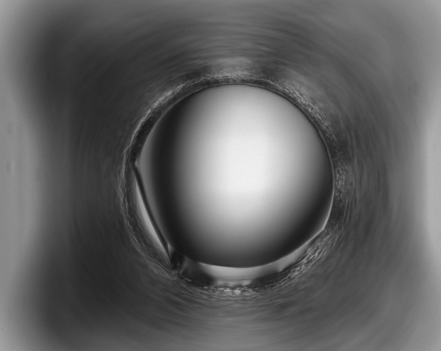 X0000097890112200803211403