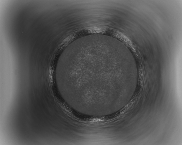 X0000097890114200803211403