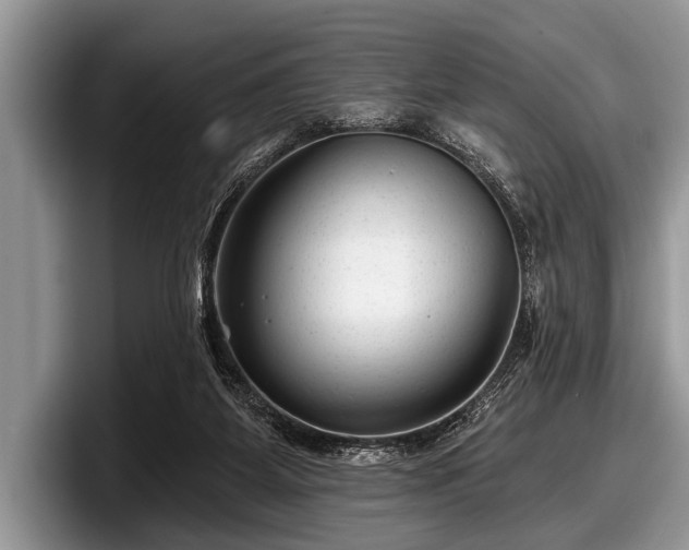 X0000097890115200803211403