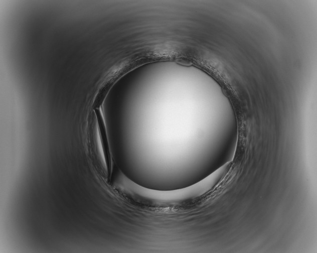 X0000097890116200803211403