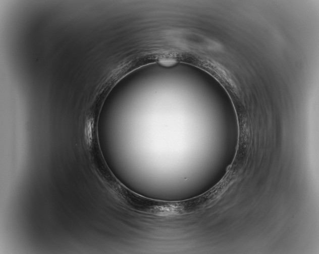 X0000097890118200803211403