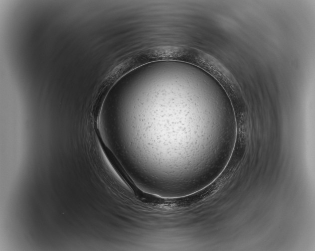 X0000097890119200803211403