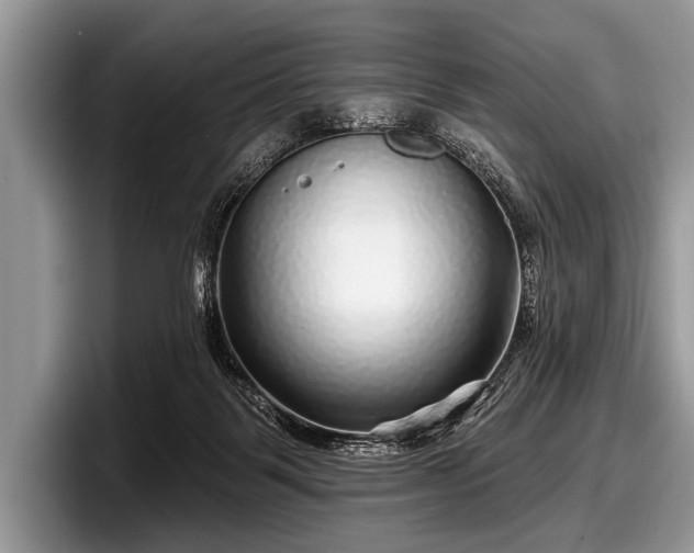 X0000097890123200803211403