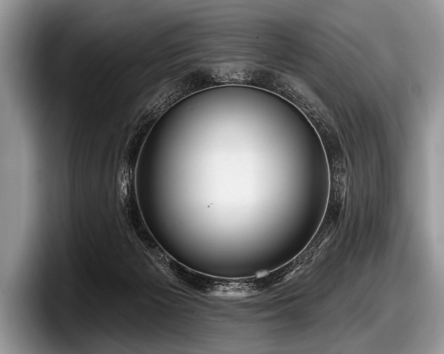 X0000097890125200803211403