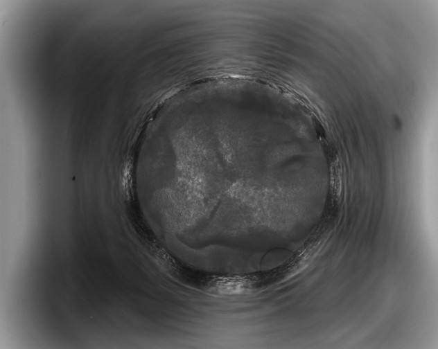 X0000097890127200803211403