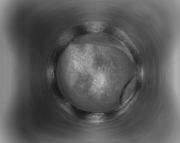 X0000097890128200803211403