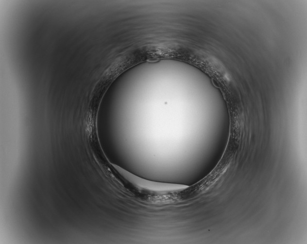 X0000097890129200803211403