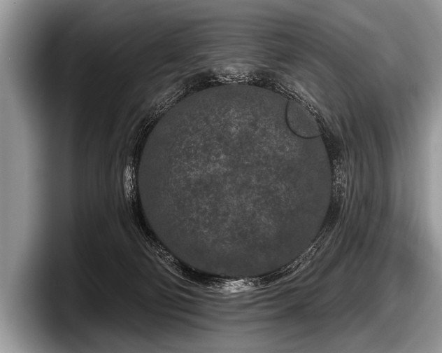 X0000097890130200803211403