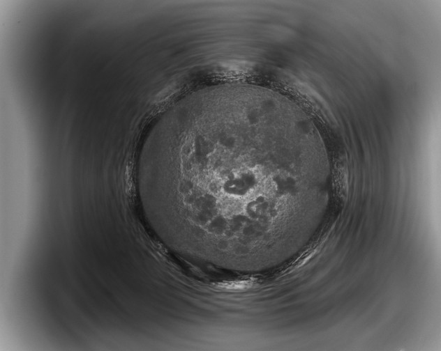 X0000097890131200803211403