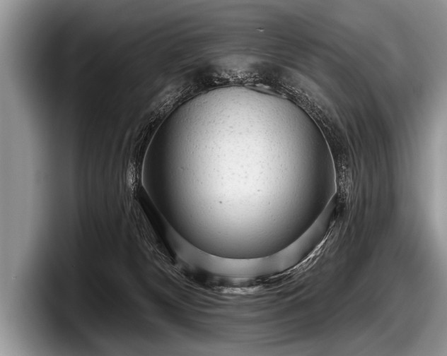 X0000097890132200803211403