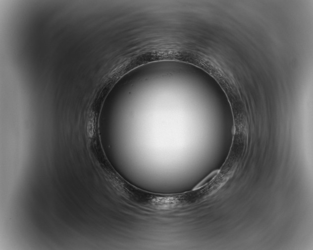 X0000097890133200803211403