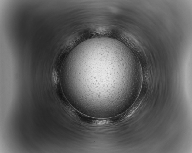 X0000097890135200803211403